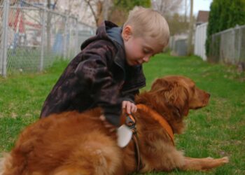 Comment savoir si votre chien est heureux ?