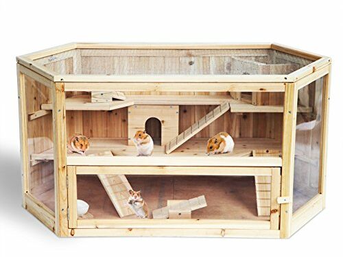 Comment savoir si votre hamster est heureux ?