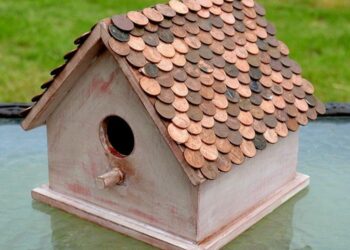 Comment se débarrasser des moineaux sous les tuiles ?