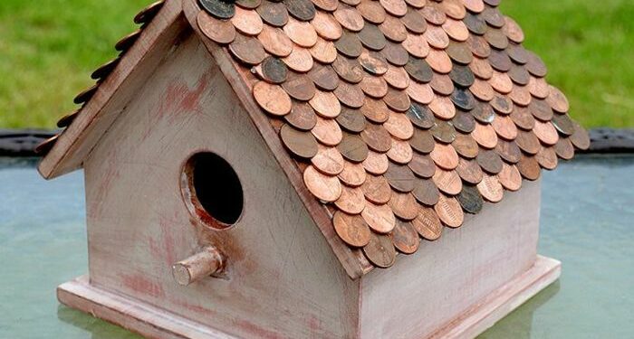 Comment se débarrasser des moineaux sous les tuiles ?