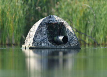 Comment se passe la livraison d'un chien ?