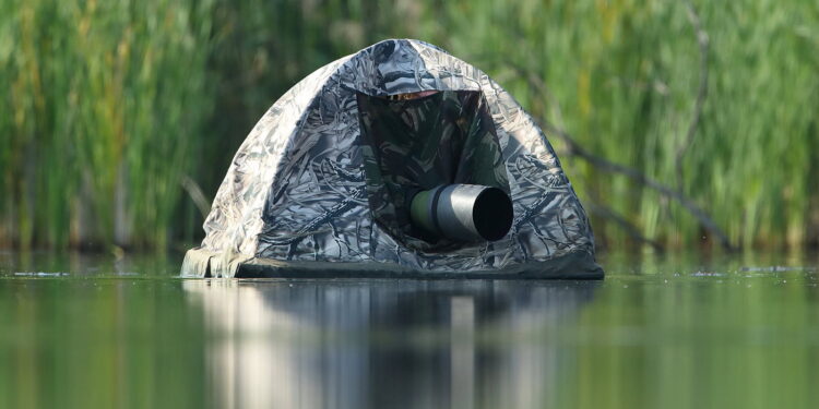 Comment se passe la livraison d'un chien ?