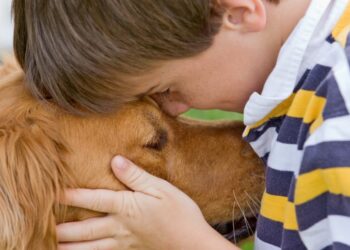 Comment se reconnaissent les oiseaux ?