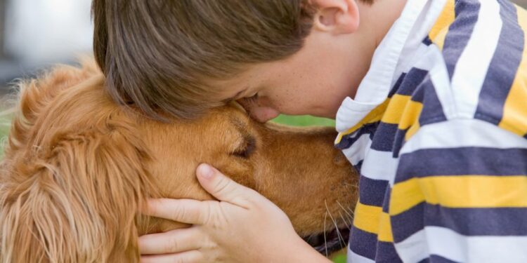 Comment se reconnaissent les oiseaux ?