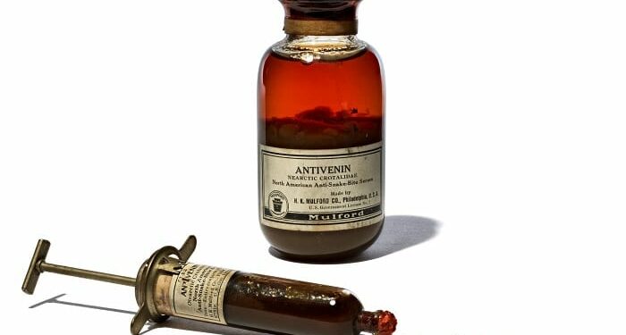 Comment secourir une personne mordu par un serpent ?