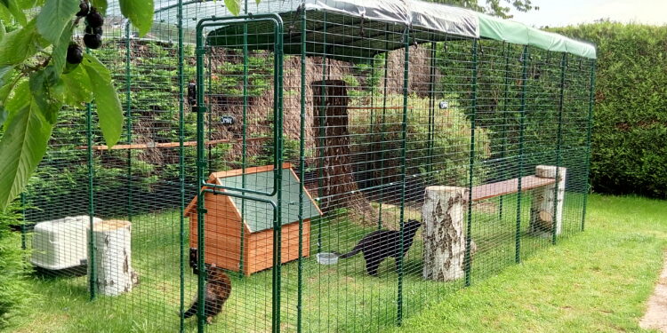 Comment securiser son jardin chat ?