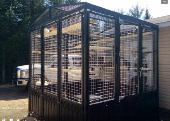 Comment securiser son jardin chat ?