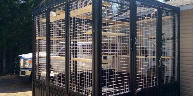 Comment securiser son jardin chat ?