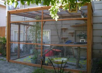 Comment securiser son jardin chat ?