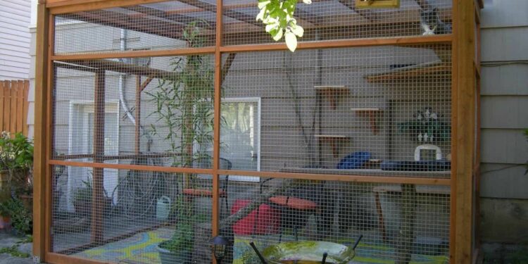 Comment securiser son jardin chat ?