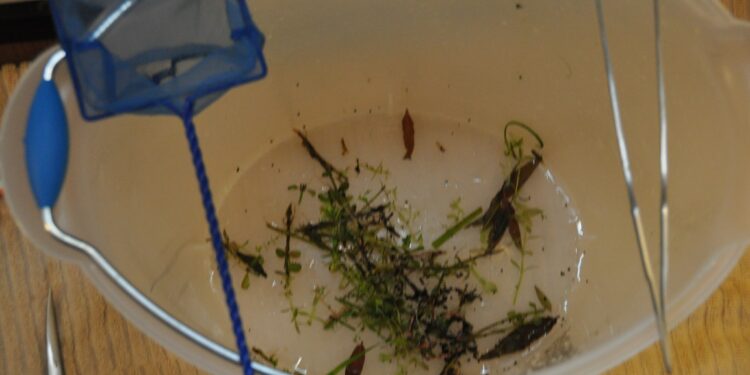 Comment s'occuper d'un combattant ?