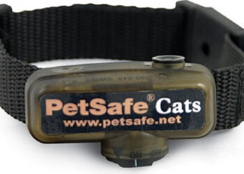 Comment soigner mon chat qui se gratte jusqu'au sang ?