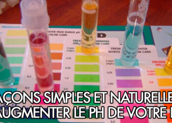 Comment stabiliser le pH d'un aquarium ?