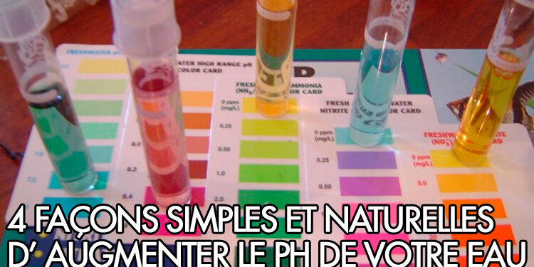 Comment stabiliser le pH d'un aquarium ?
