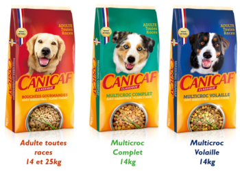 Comment stimuler l'appétit d'un chien ?