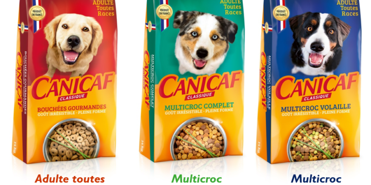 Comment stimuler l'appétit d'un chien ?