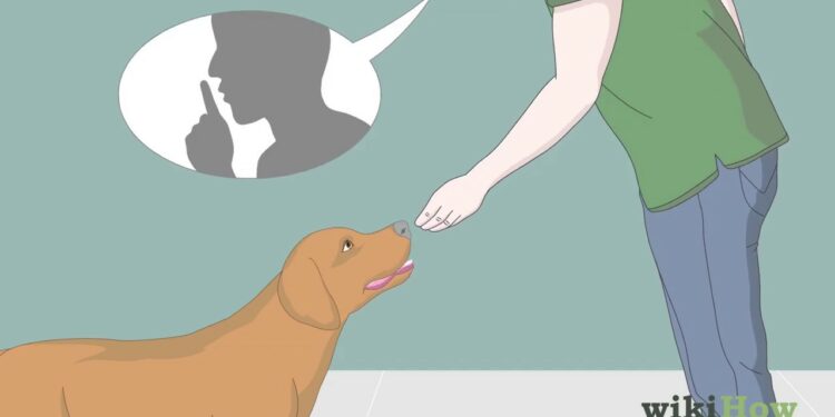 Comment supprimer les aboiements ?