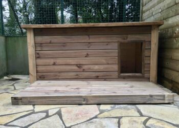 Comment tenir chaud à un chien ?