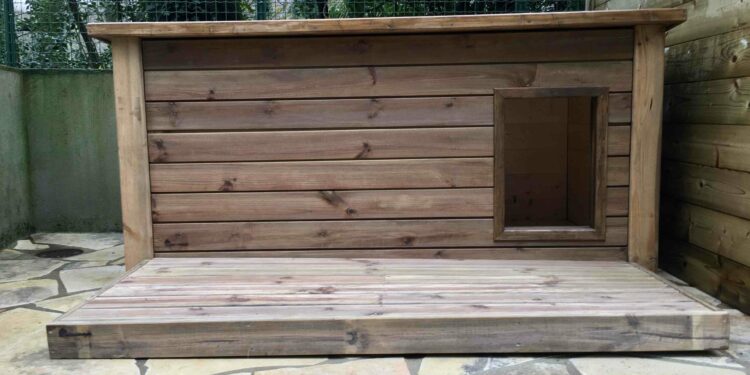 Comment tenir chaud à un chien ?