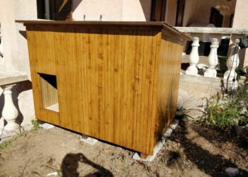 Comment tenir chaud à un chien qui dort dehors ?