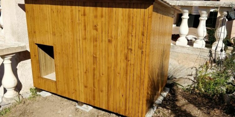 Comment tenir chaud à un chien qui dort dehors ?