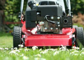 Comment tondre son chat Soi-même ?