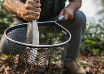 Comment transporter des poissons sur un long trajet ?