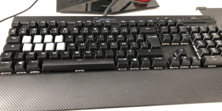 Comment transporter un Labrador en voiture ?