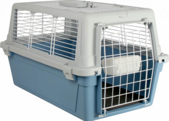 Comment transporter un chat qui a peur ?