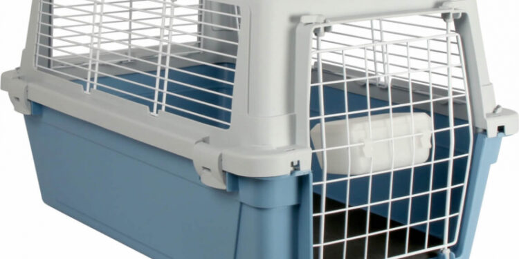 Comment transporter un chat qui a peur ?