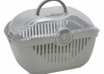 Comment transporter un lapin sans cage ?