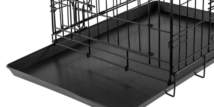 Comment transporter un malinois en voiture ?