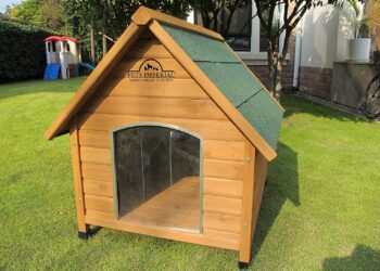 Comment trouver une bonne niche ?