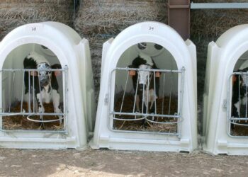 Comment trouver une niche rentable rapidement et bien plus ?