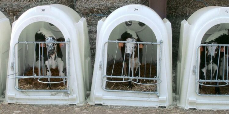 Comment trouver une niche rentable rapidement et bien plus ?