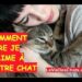 Comment un chat voit un humain ?
