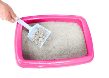 Comment utiliser Copronat ?