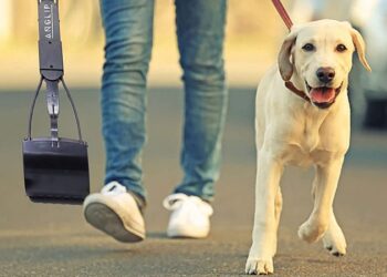 Comment utiliser les crottes de chien ?