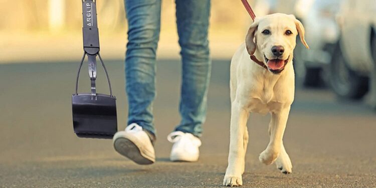 Comment utiliser les crottes de chien ?