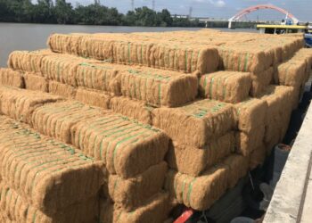 Comment utiliser terreau fibre de coco ?