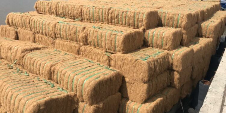 Comment utiliser terreau fibre de coco ?