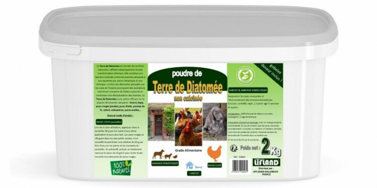 Comment vermifuger les poules naturellement ?