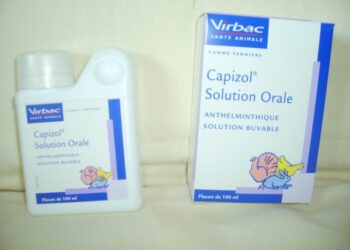 Comment vermifuger les poules naturellement ?