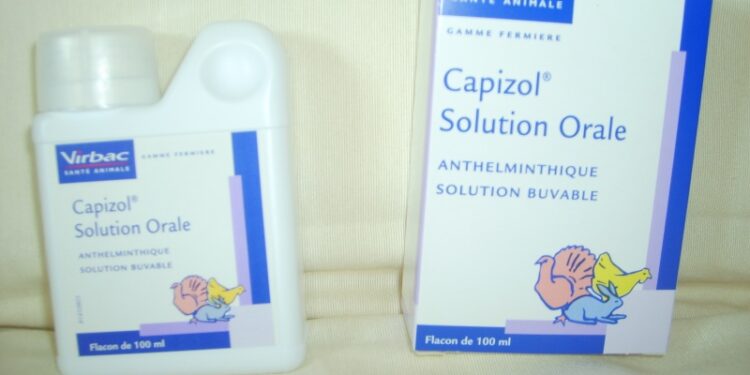 Comment vermifuger les poules naturellement ?