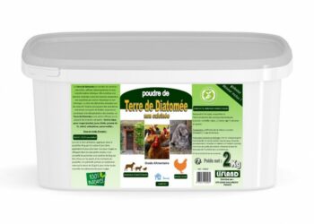 Comment vermifuger les poules naturellement ?