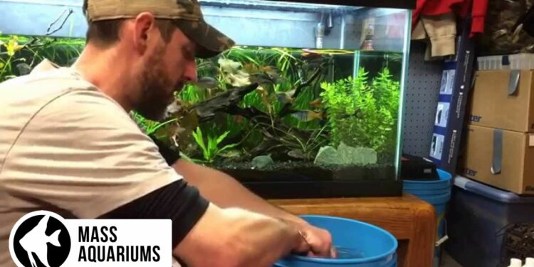 Do fish like heavily planted tanks?