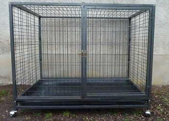 Est-ce bien de mettre son chien en cage ?