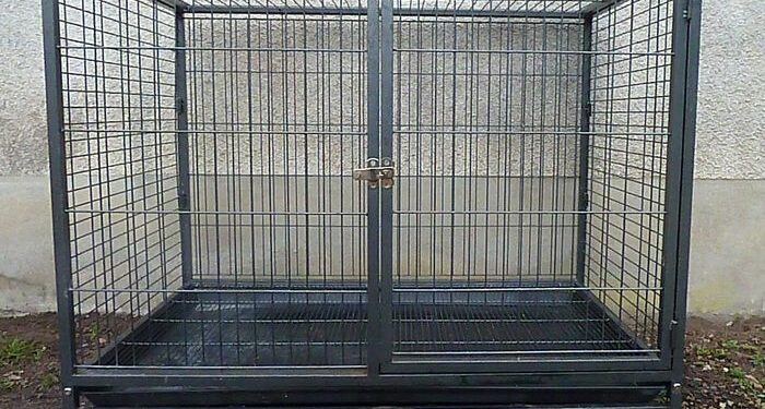 Est-ce bien de mettre son chien en cage ?