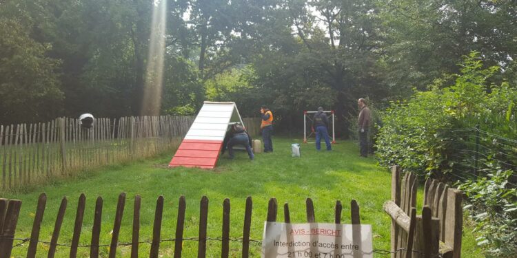Est-ce bien de mettre un chiot dans un parc ?