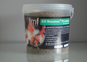 Est-ce bon de donner du pain au poisson ?